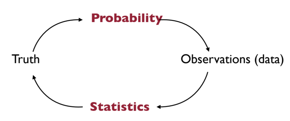 Diagram showing the relationship between probability and statistics